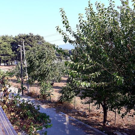 סלצ'וק Can Efes Hotel מראה חיצוני תמונה